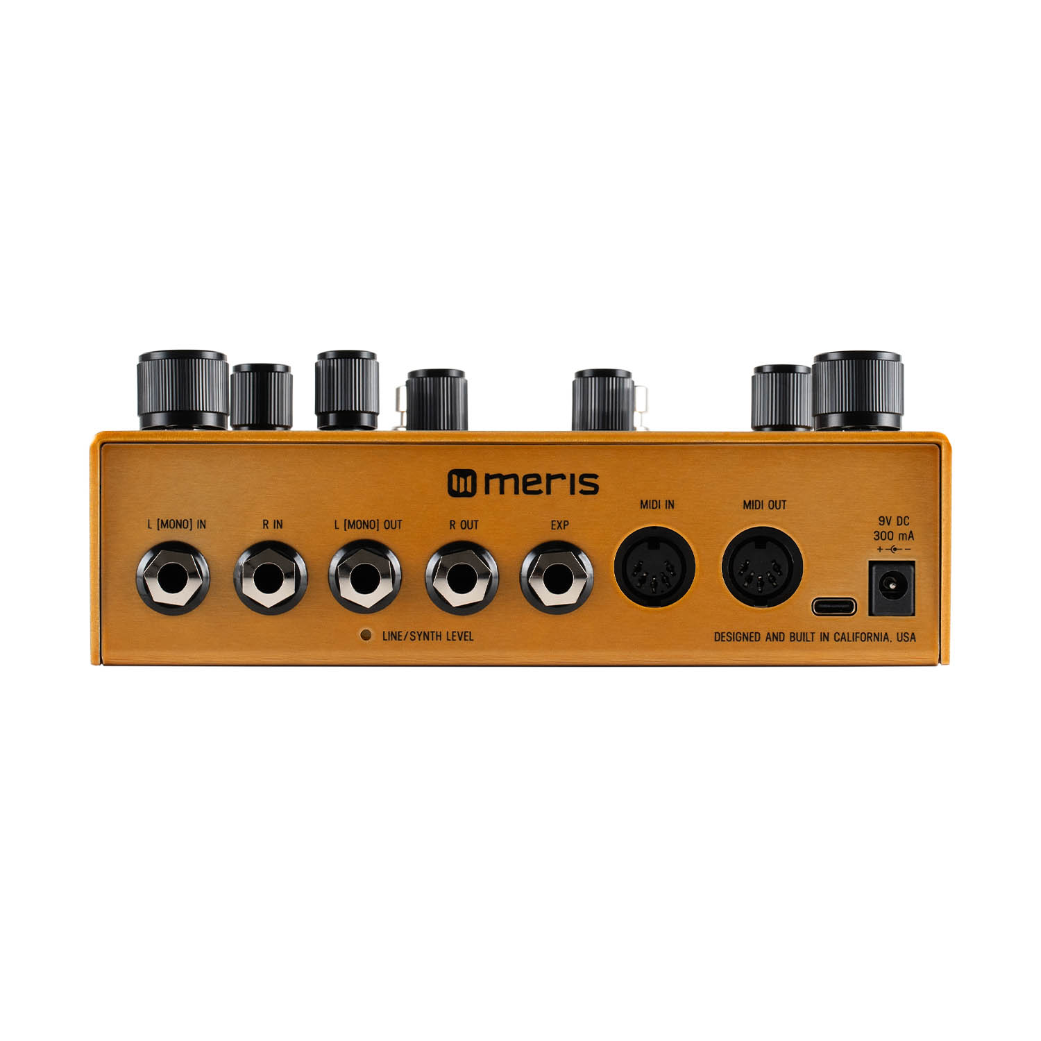 Meris Enzo X | The Pedal Zone