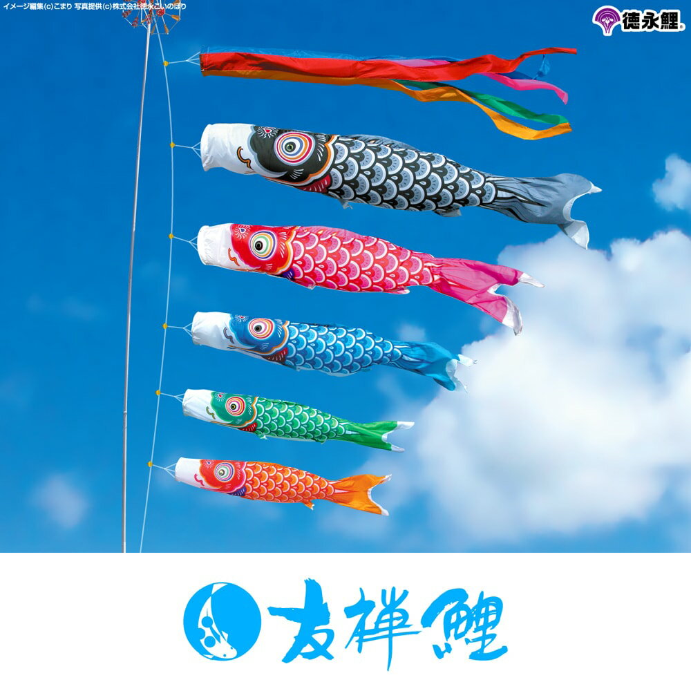 鯉のぼり 旭天竜 新薫風 | prefer