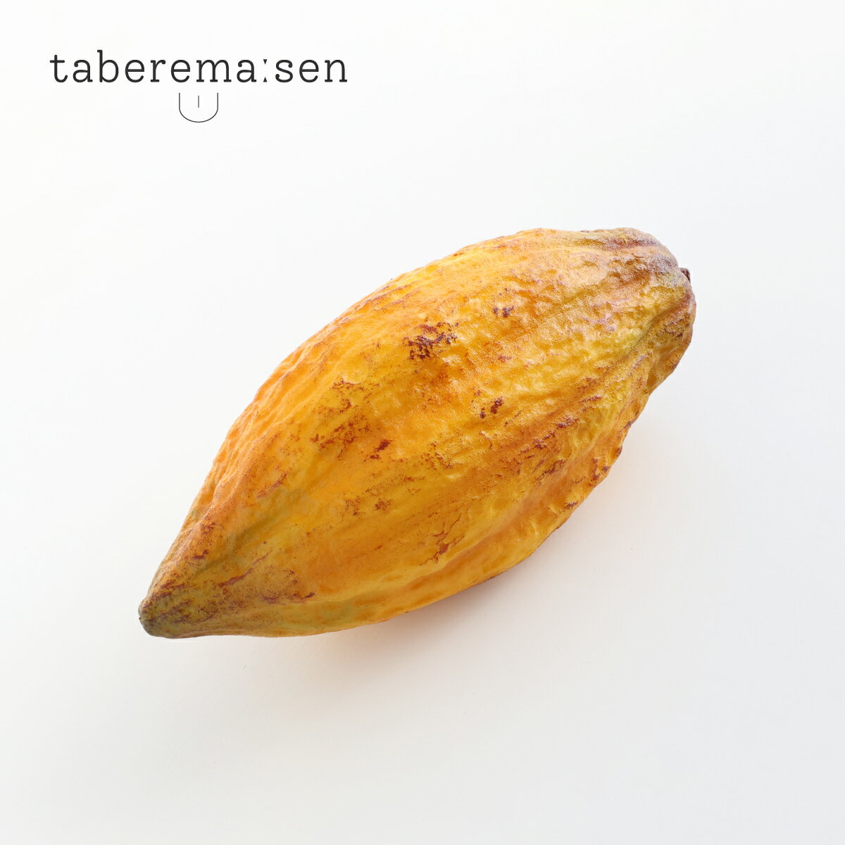 楽天市場】カカオポッドの通販