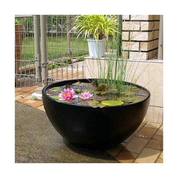 楽天市場】睡蓮鉢 FRPの通販