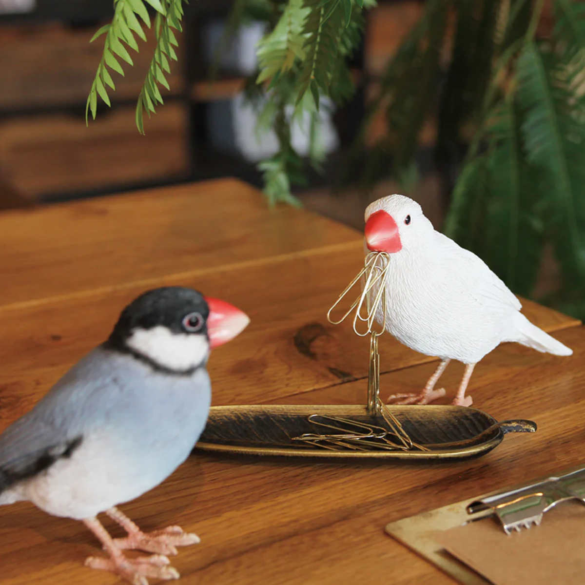 楽天市場】鳥 ディスプレイの通販