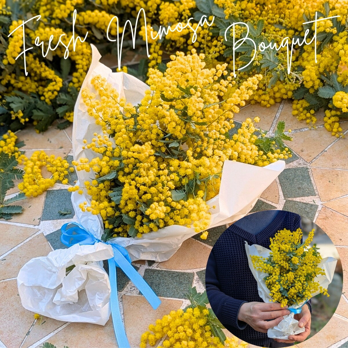 楽天市場】ミモザ 生花の通販