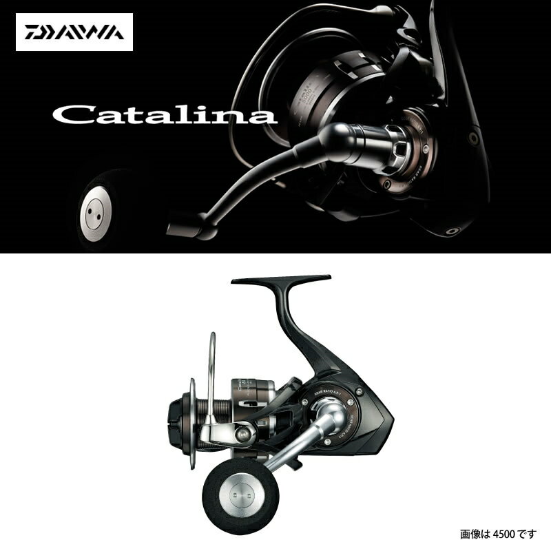 キャタリナで青物ゲーム！タフ＆パワーの専用タックルとは | TSURI