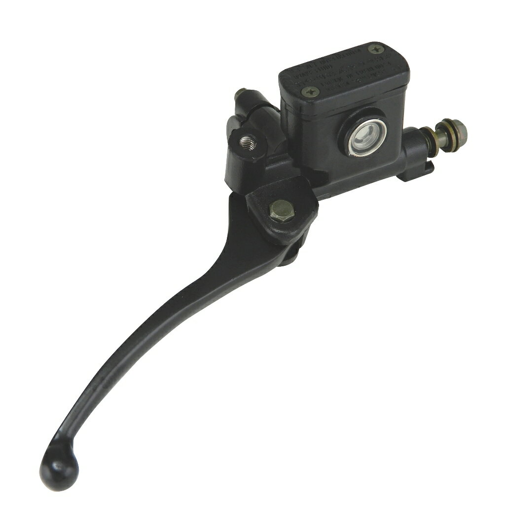 マスタープログラム3年分 楽天市場】dio Zx（マスターシリンダー