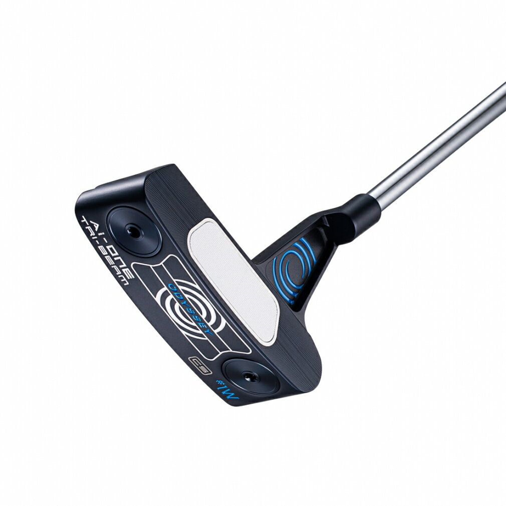 楽天市場】オデッセイ パター（タイプ（パター）ピン型（ブレード