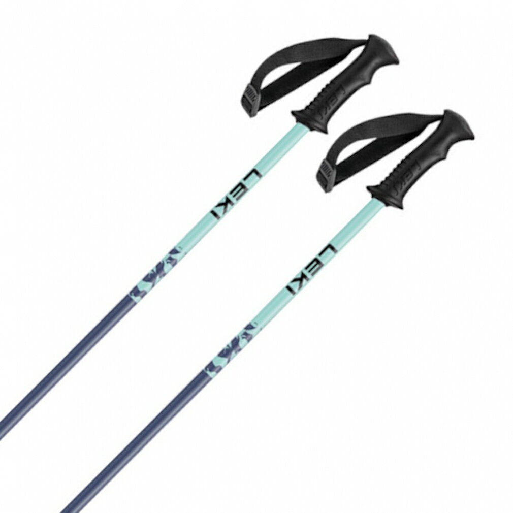 楽天市場】ブルー（ストック｜スキー用品）：ウィンタースポーツ