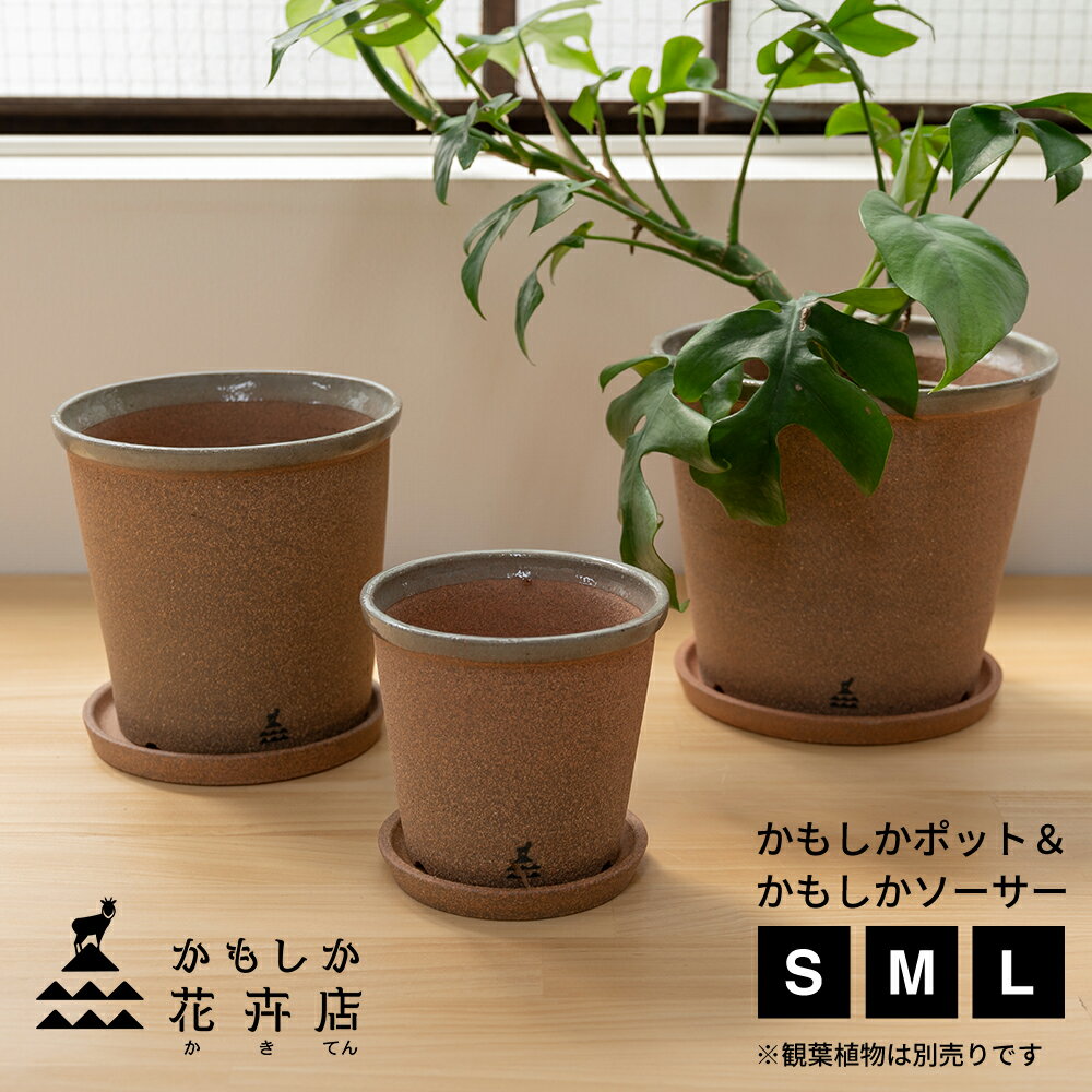 楽天市場】焼き締め 鉢の通販