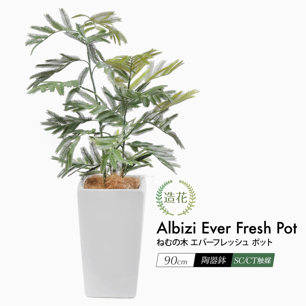 楽天市場】フェイクグリーン エバーフレッシュの通販