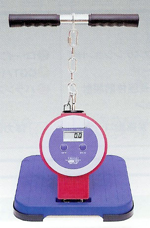 楽天市場】竹井機器 デジタル背筋力計の通販