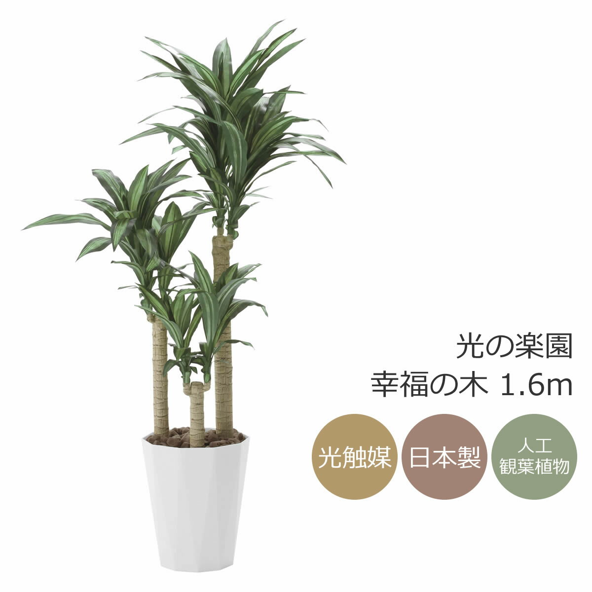 楽天市場】幸福の木 フェイクグリーンの通販