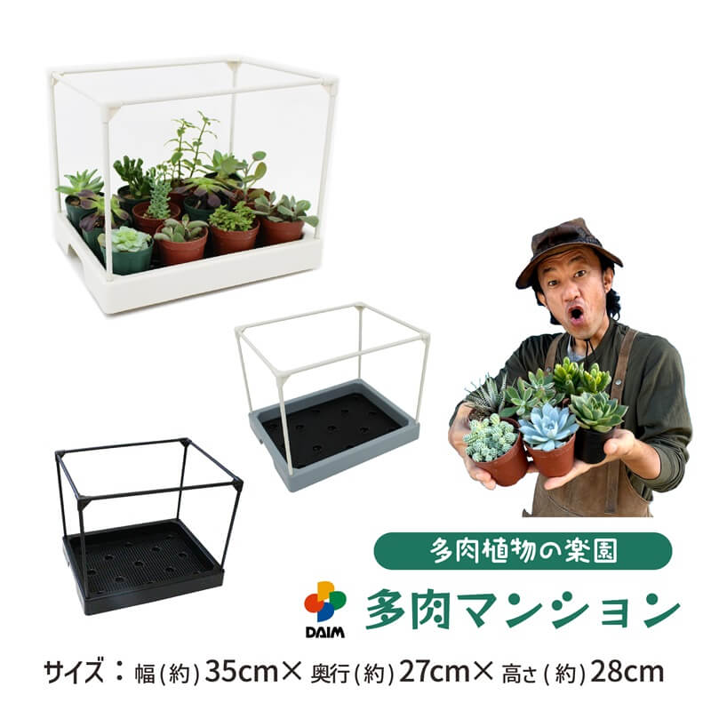 楽天市場】多肉 用 棚の通販