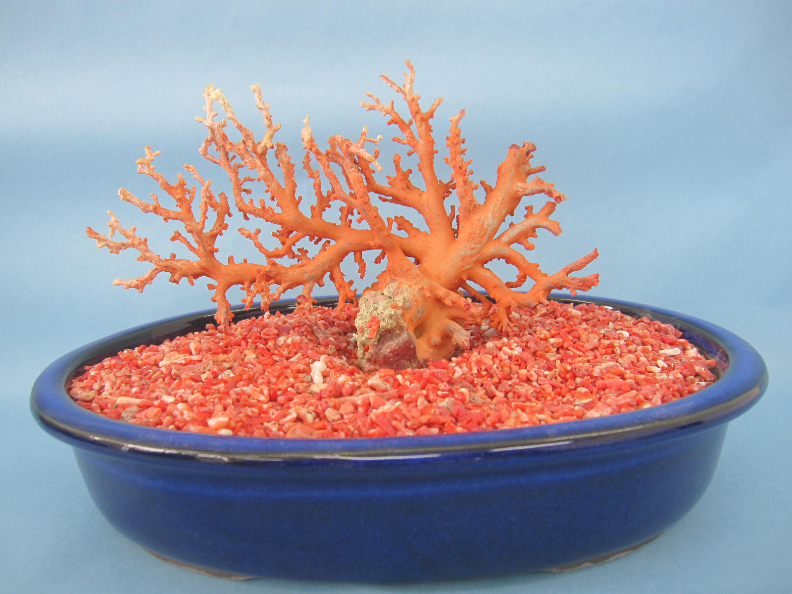 楽天市場】赤珊瑚（インテリア小物・置物｜インテリア・寝具・収納）の通販