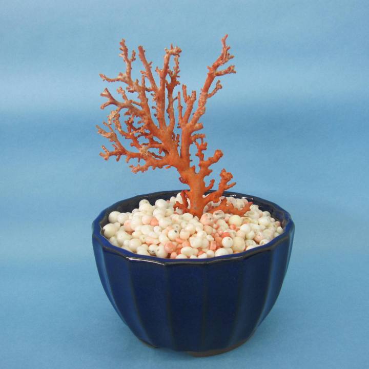 楽天市場】赤珊瑚 置物の通販
