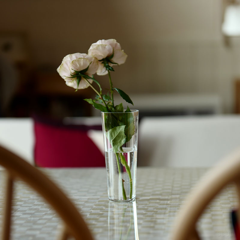 楽天市場】アアルト ベース サーモンピンクの通販