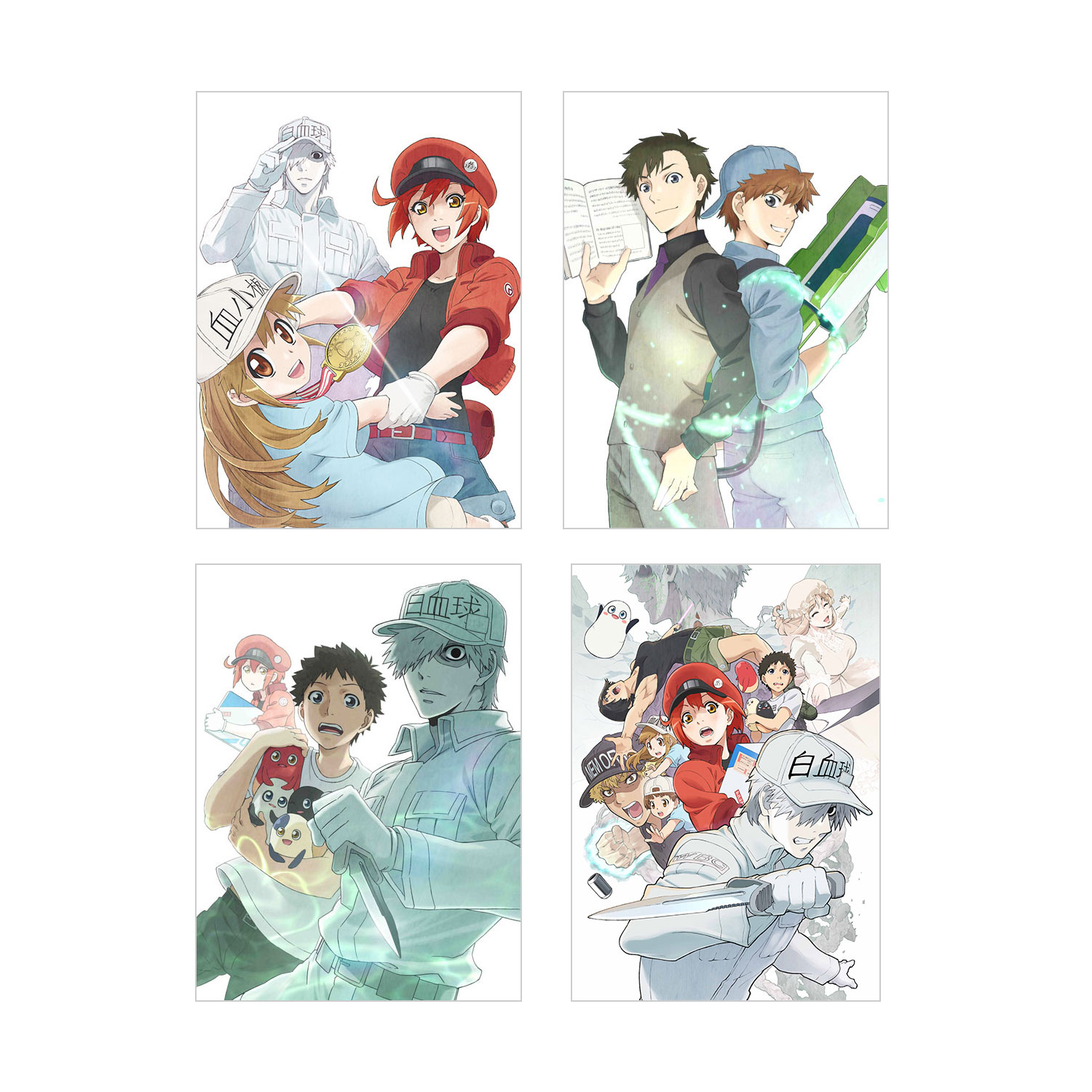 楽天市場】はたらく細胞 全巻 セット（CD・DVD）の通販