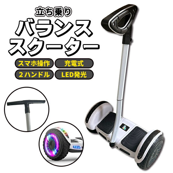 楽天市場】電動 セグウェイの通販