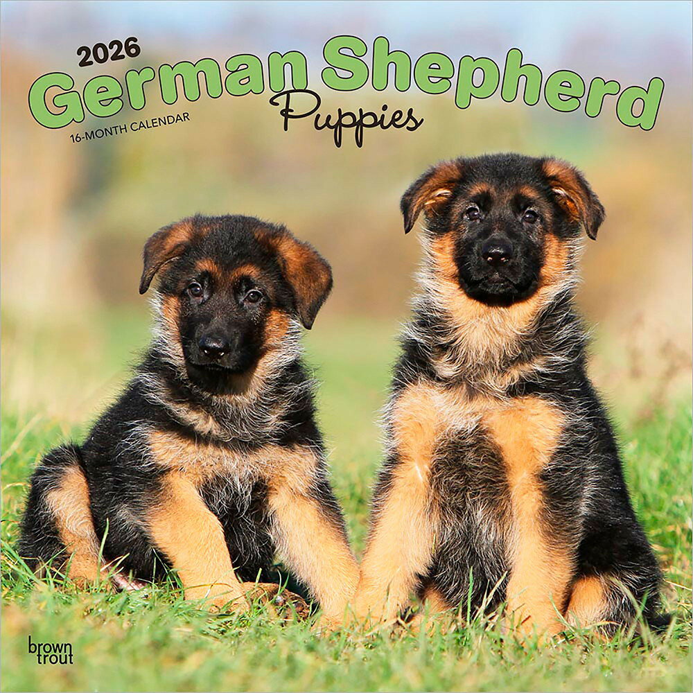 楽天市場】ジャーマン シェパード ドッグ（本・雑誌・コミック）の通販