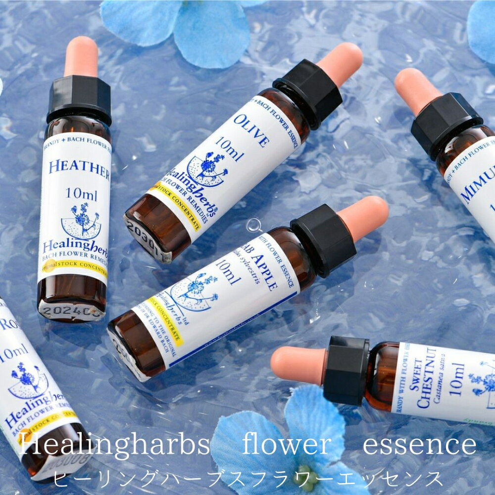 kazunoページ□52000+16700=68700ヒーリングハーブス社 kazunoページ