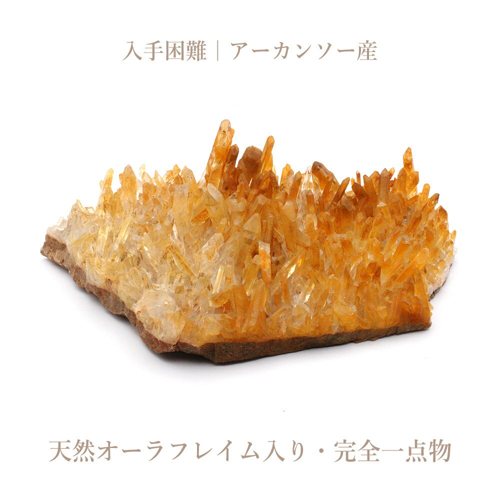 楽天市場】ゴールデンヒーラークラスターの通販