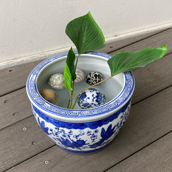 楽天市場】金魚 水盤の通販