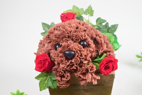 トイプードル】花っぷり フラワーペット／プリザーブドフラワー 犬