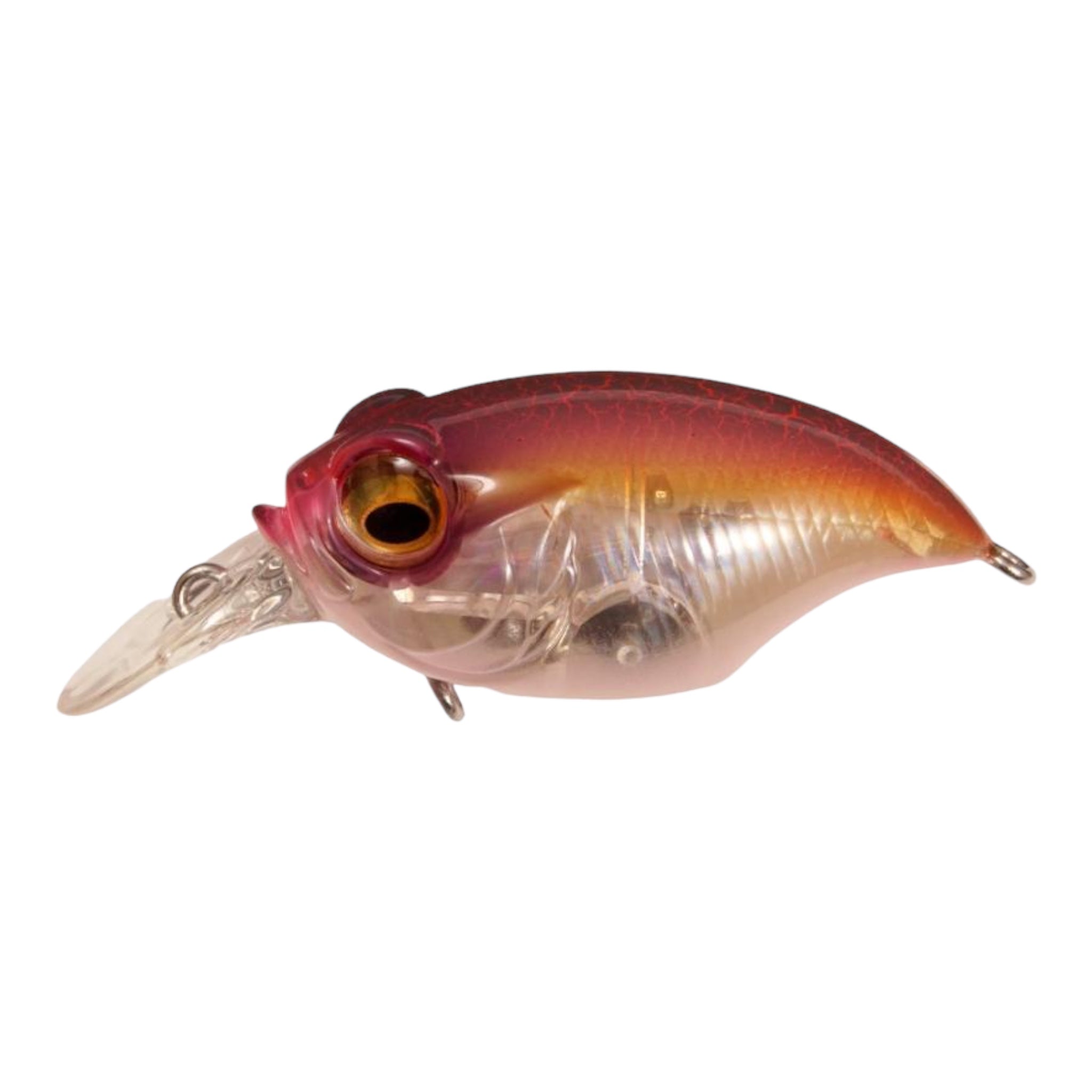 Megabass Griffon SR-X (BFS) Crankbaits – Three Rivers Tackle