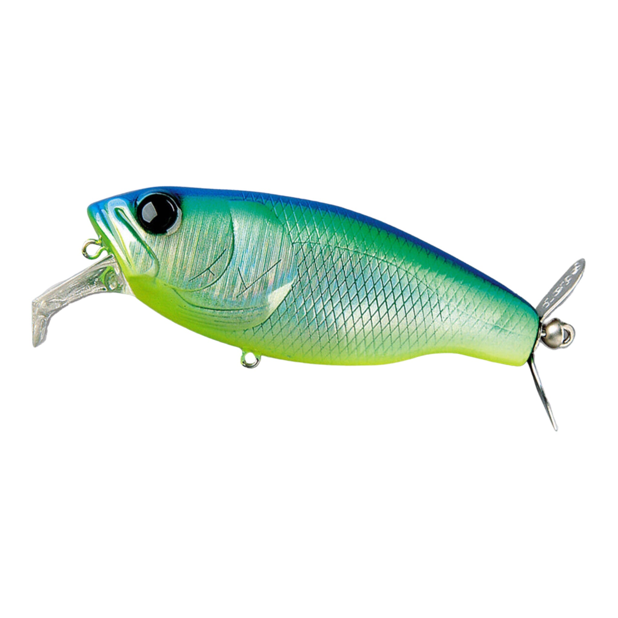 Bluebackchartsq.jpg?v=