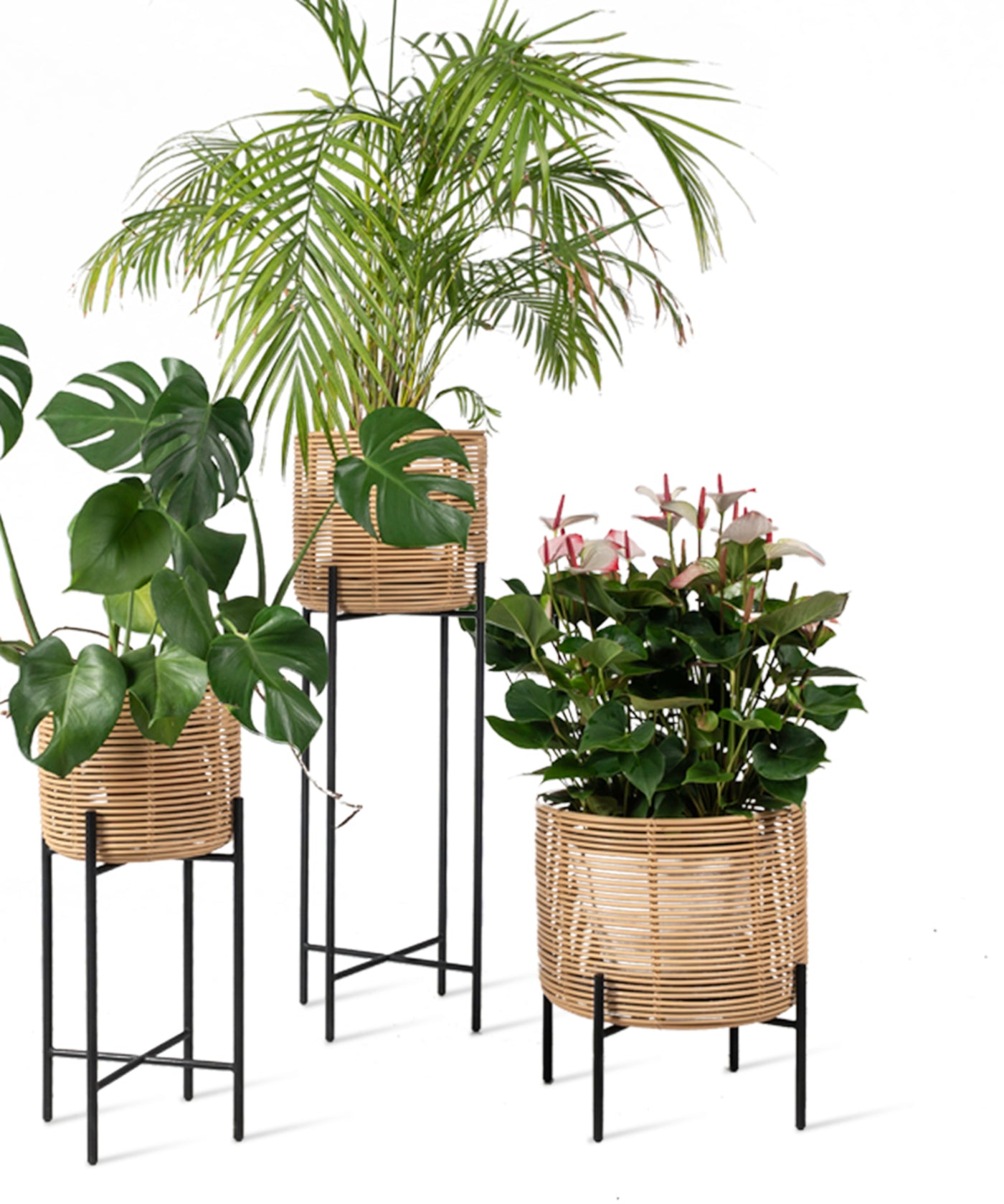 VINCENT SHEPPARD（ヴィンセント・シェパード）VIVI PLANT STAND