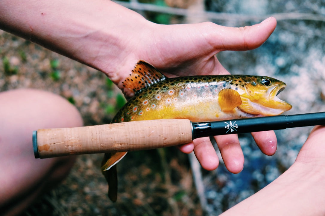 Tiny Ten – Tiny Tenkara