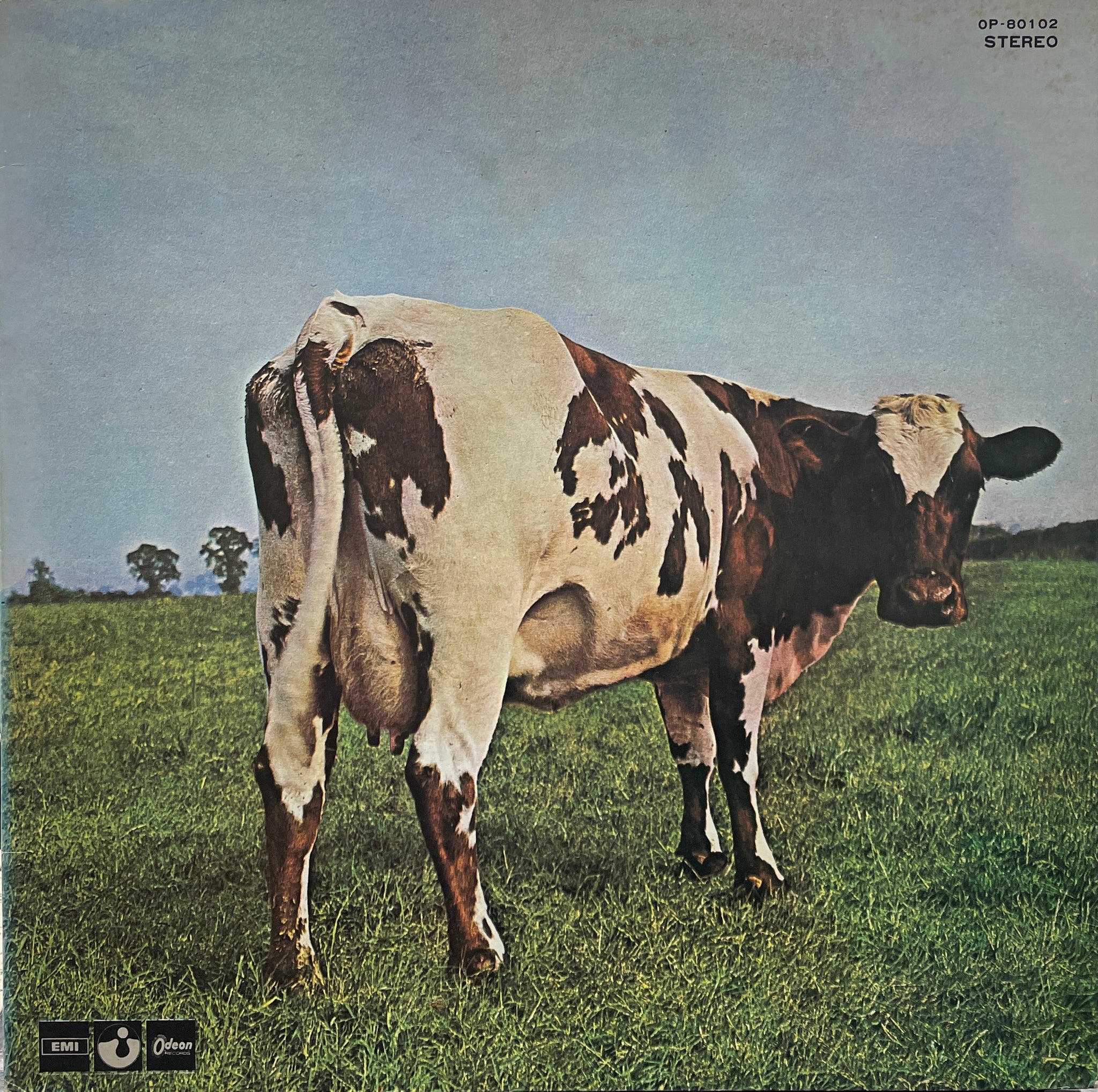 IMG_4871_25d3e39c-b5f3-44ff-