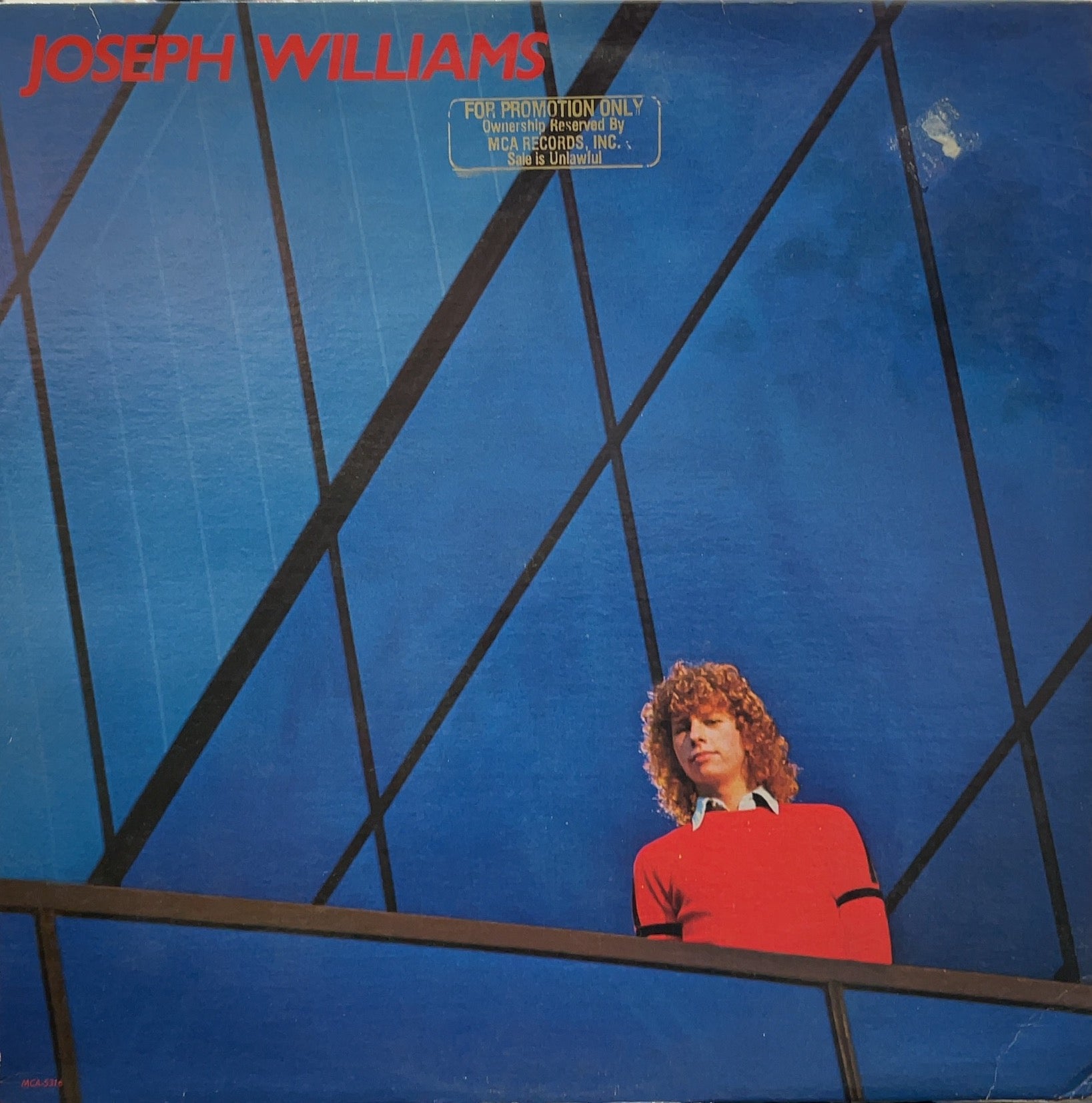 JOSEPH WILLIAMS / Joseph Williams – TICRO MARKET