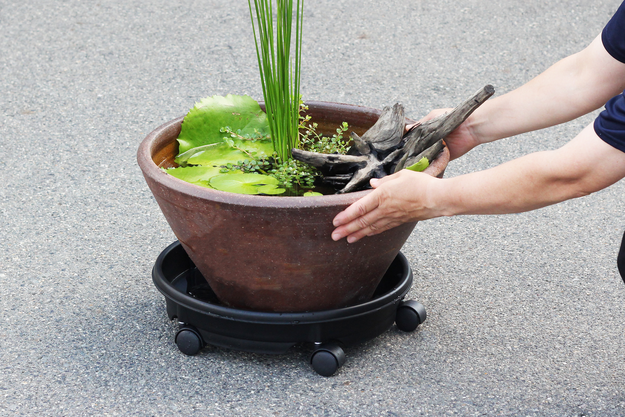 キャスター付き 移動ラクラクプレート | 杜若園芸WEBショップ｜水草の