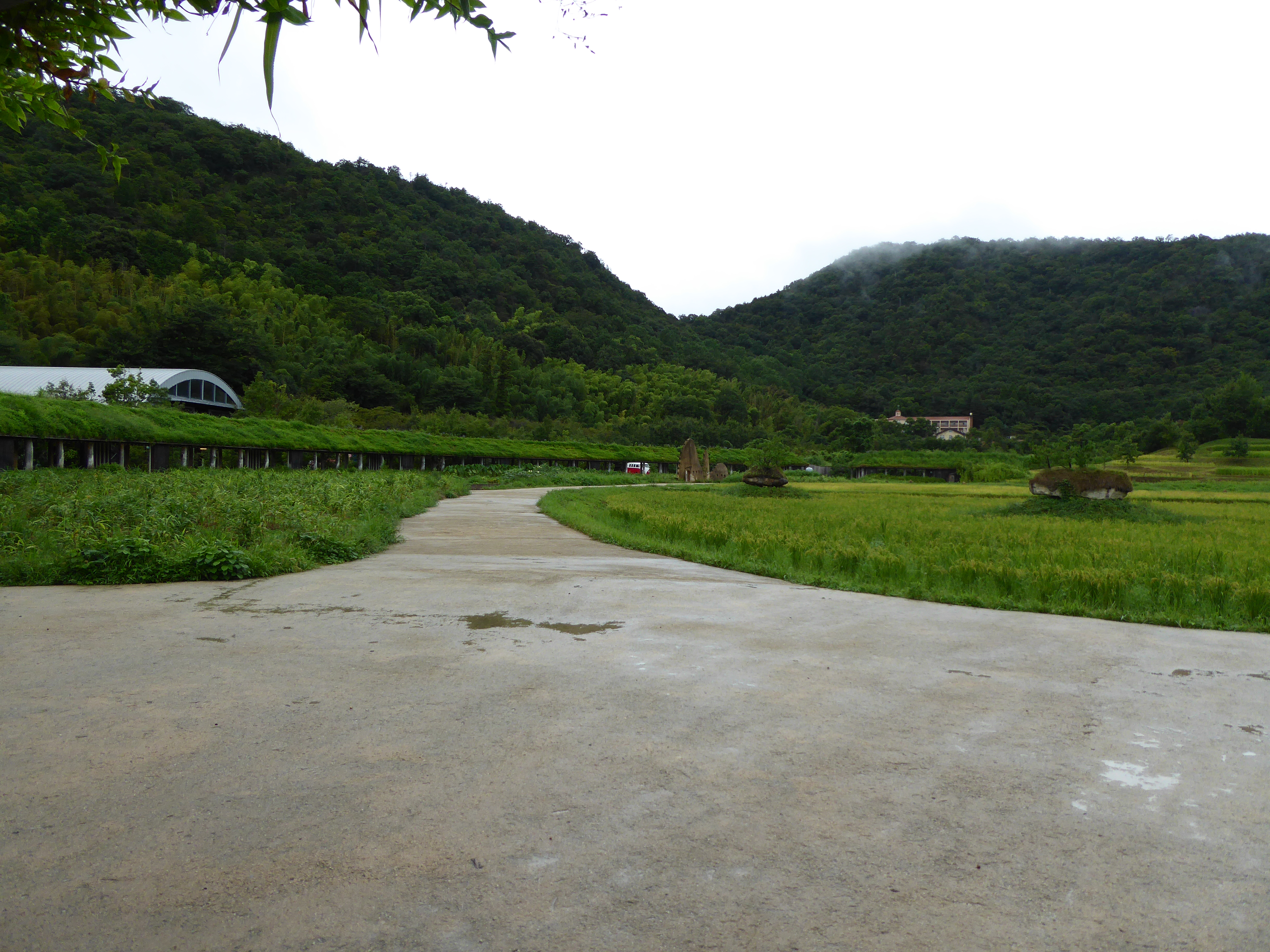 LUMIX DMC-TZ60 【レビュー】 | tokui55.com