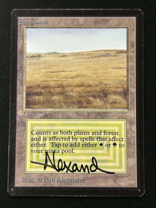 MTG専門店|東京MTG】MTGカード・アート通販サイト