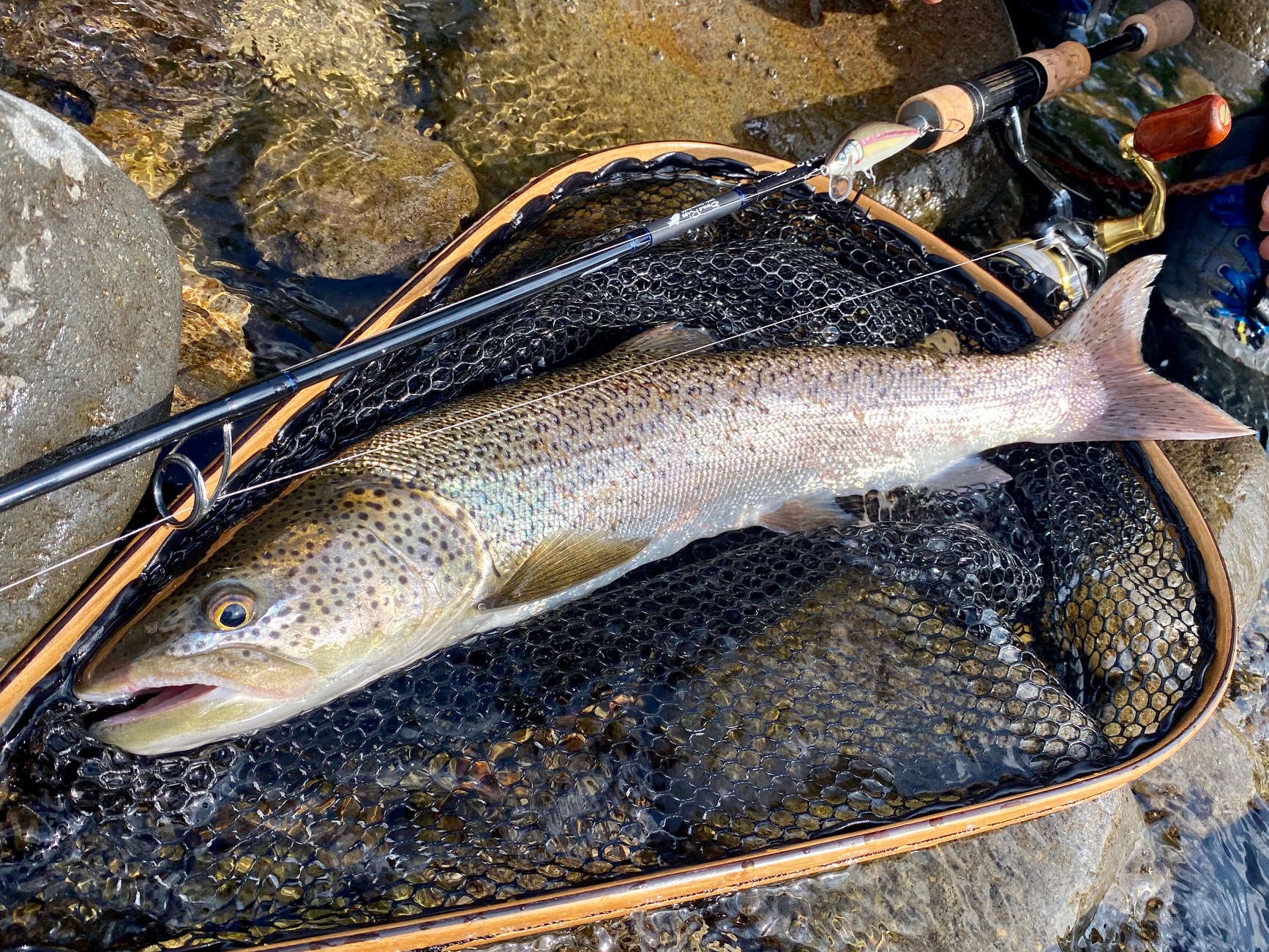 渓流イトウ釣りおすすめルアー5選 | TOKYO NATURE(S)