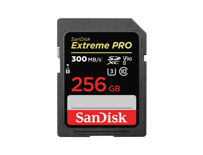 レンタル]SanDisk Extreme PRO ポータブルSSD 4TB | 記録メディアを