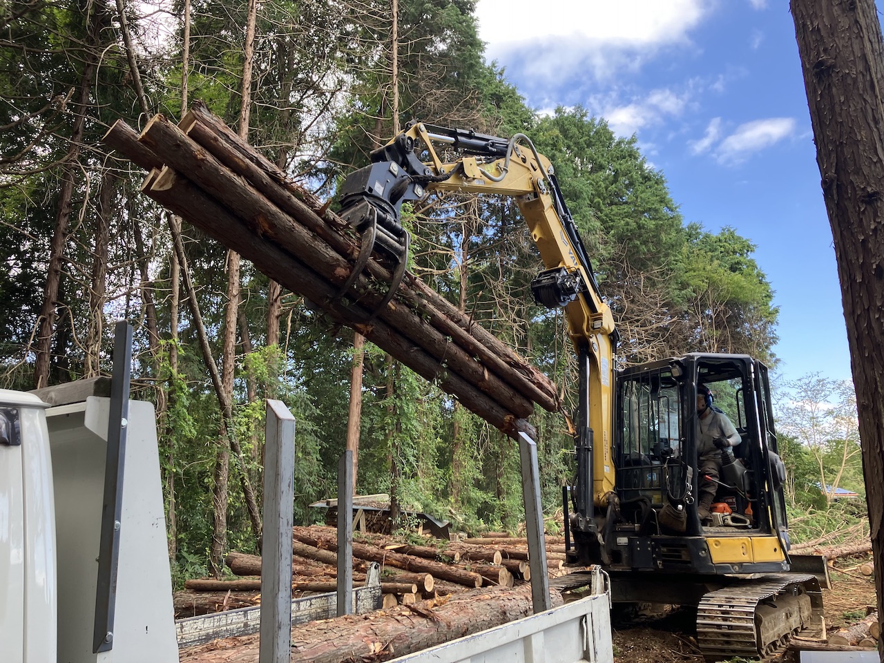東京チェンソーズ住宅隣接地での伐採・搬出 - 東京チェンソーズ