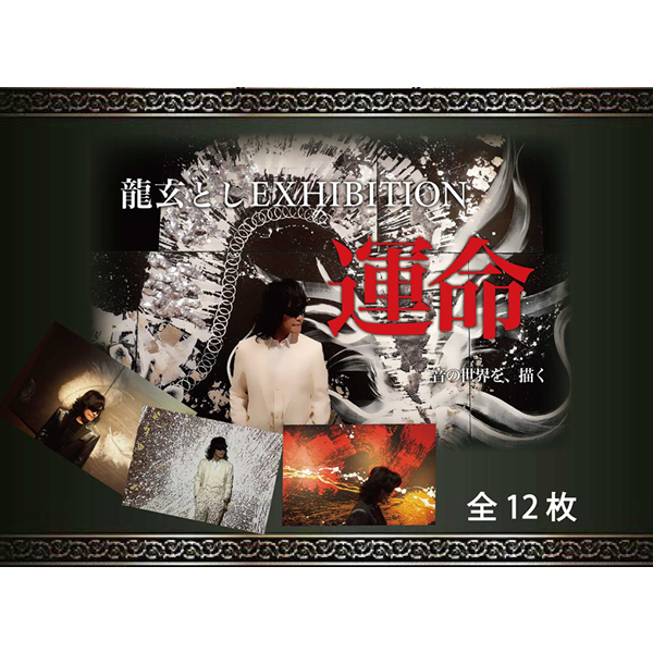 新品未開封】龍玄とし コンサートDVD9点セット※値引きorプレゼント