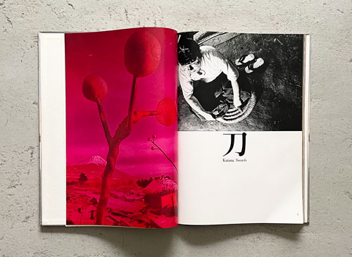 古書古本 Totodo: 奈良原一高 ジャパネスク（奈良原一高 著 山岸章二