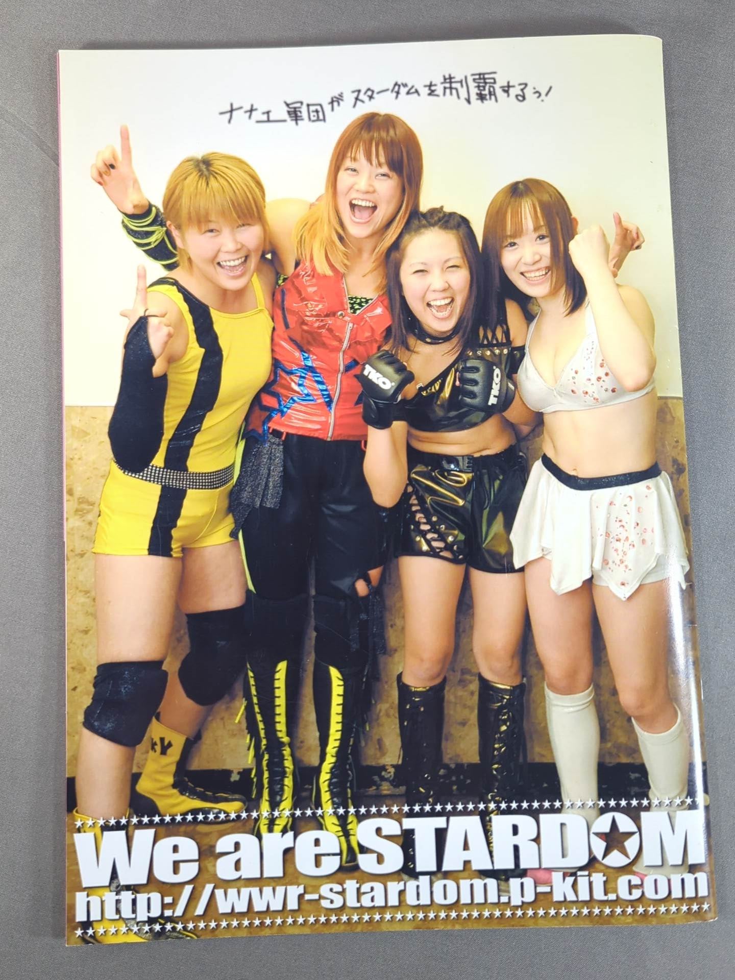 STARDOM OFFICIAL GUIDE BOOK Vol.13 – 闘道館