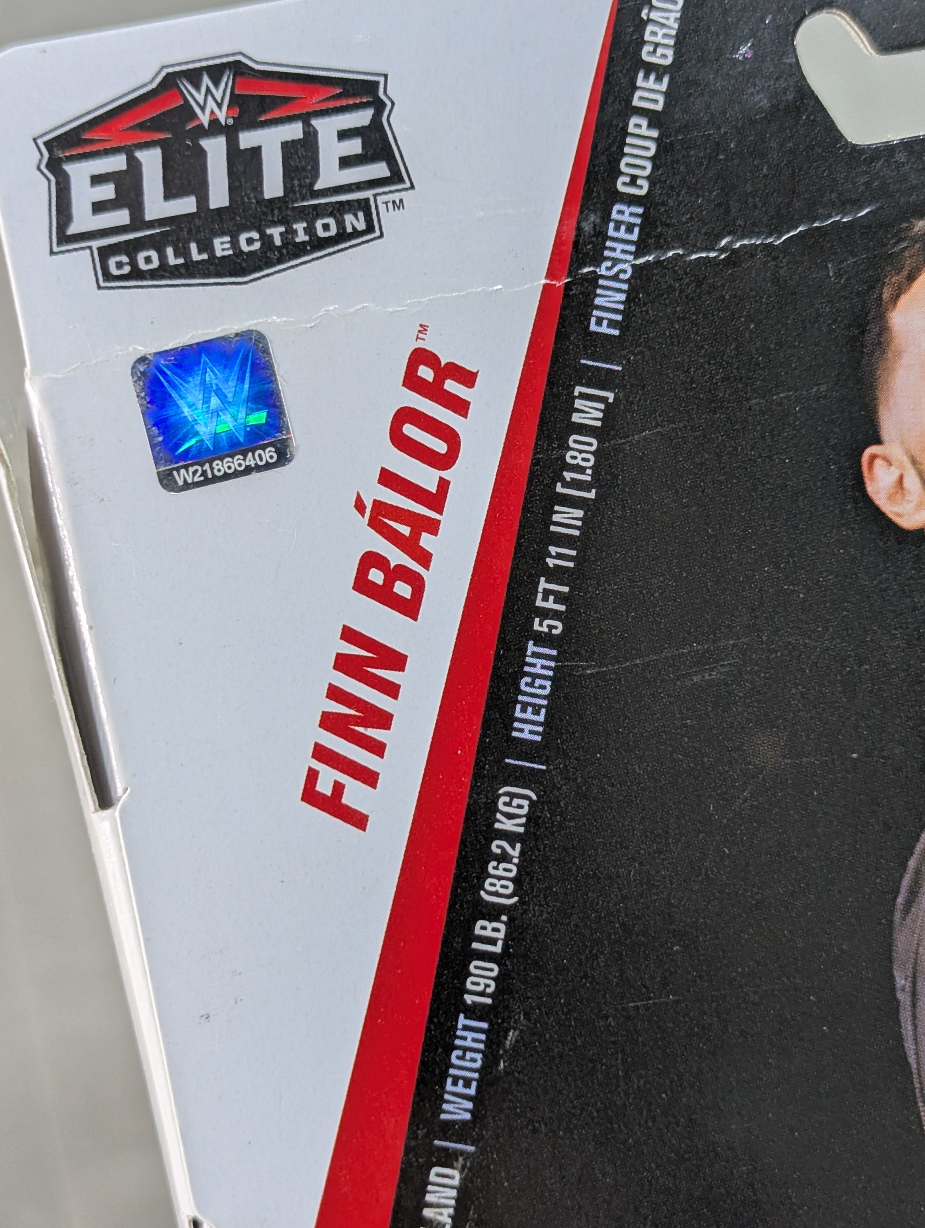 ☆JSA証明 直筆サイン入り☆ フィン・ベイラー – 闘道館