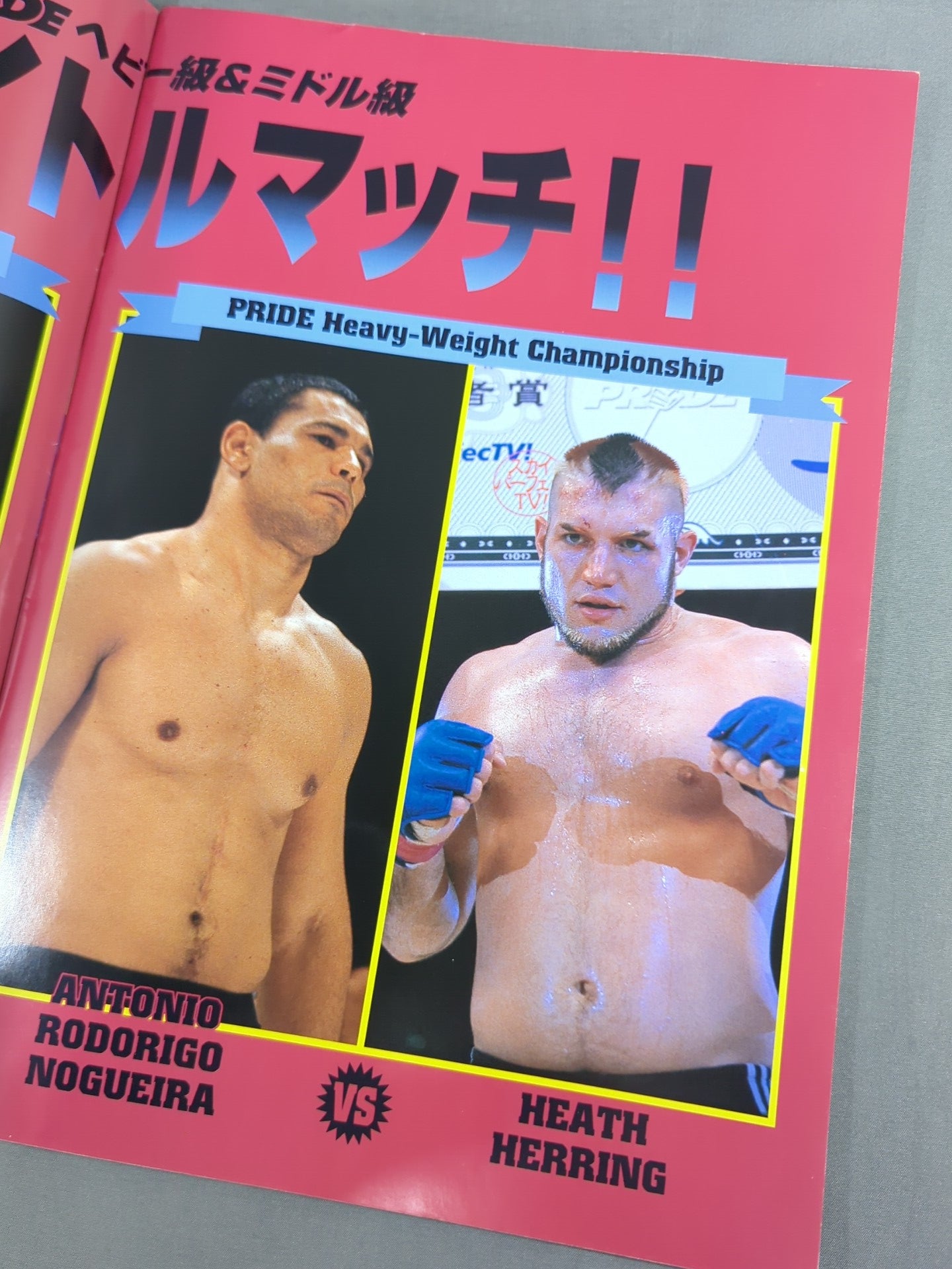 PRIDE.17 – 闘道館