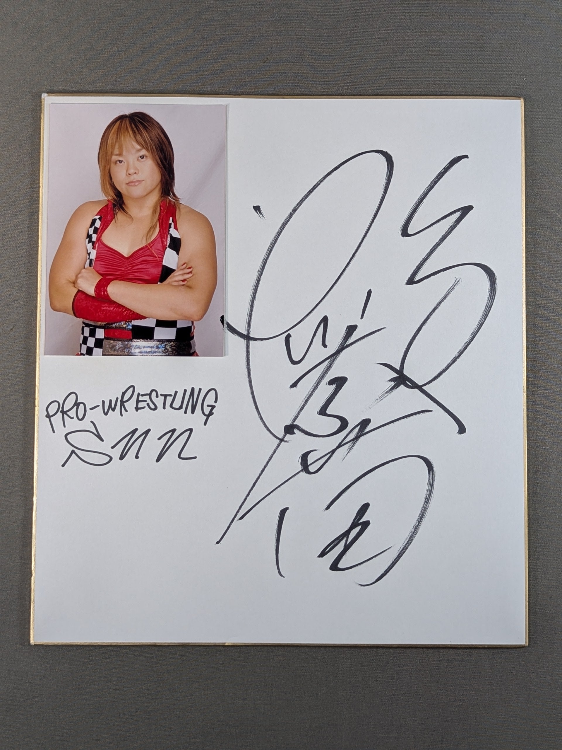 高橋奈苗(ブロマイド貼付) – 闘道館