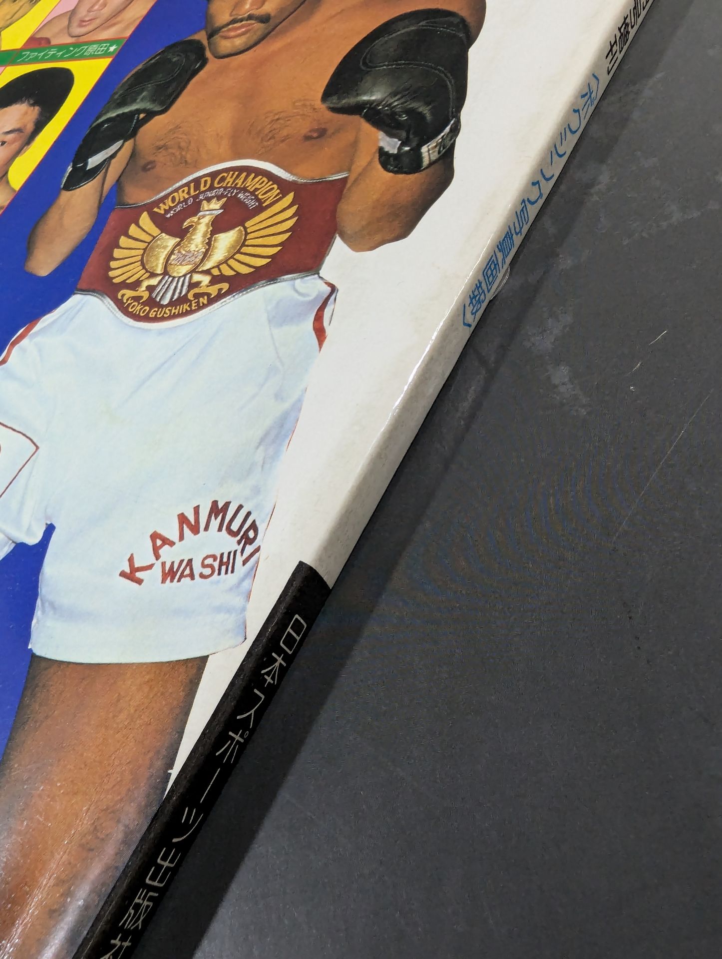 日本名ボクサー100人 白井義男から具志堅用高まで 全選手の完全記録