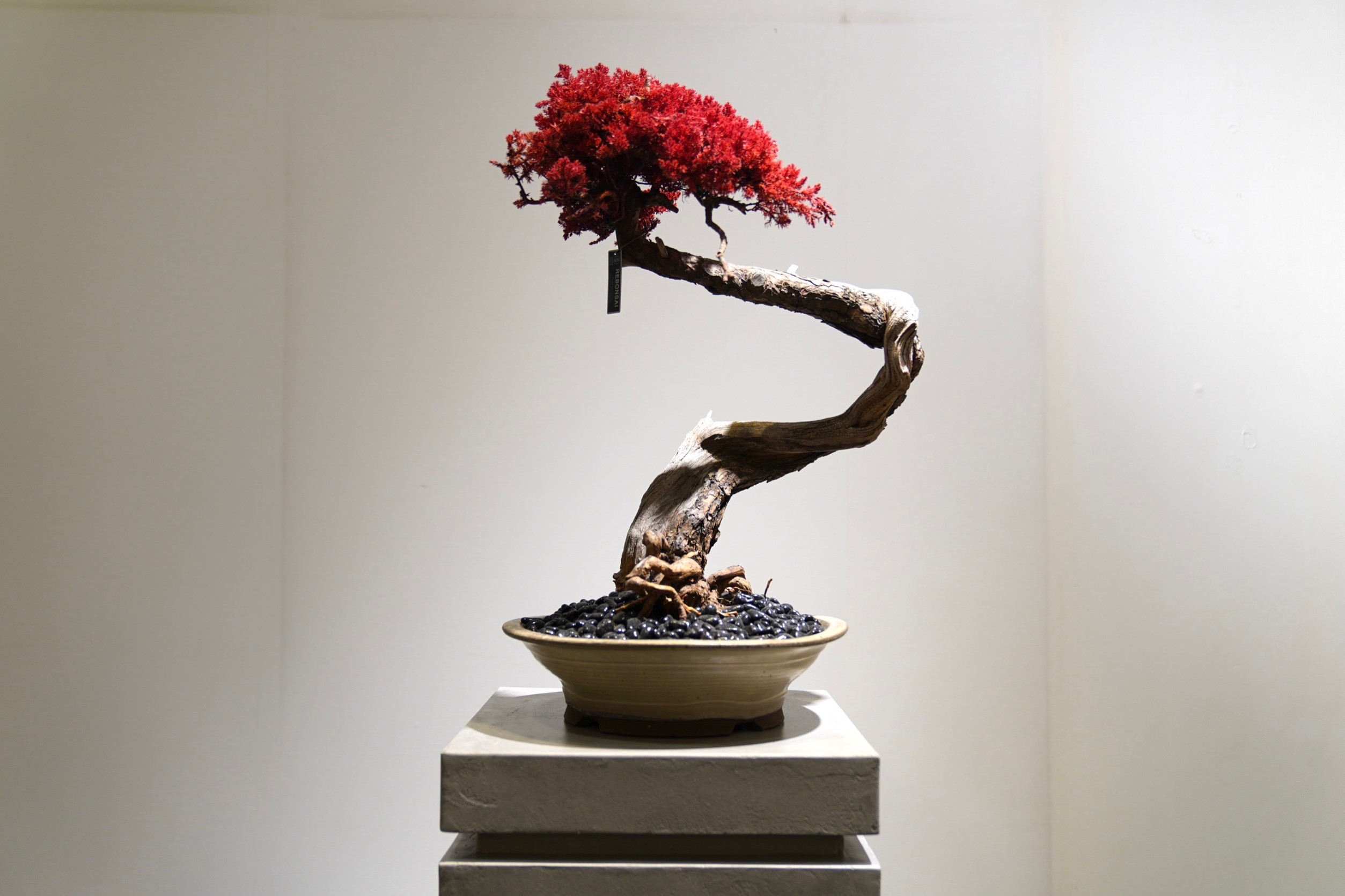 RE 盆栽™ のTOUFU株式会社