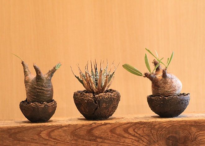 desertシリーズ ～宇宙砂漠～ | 益子焼窯元よこやま