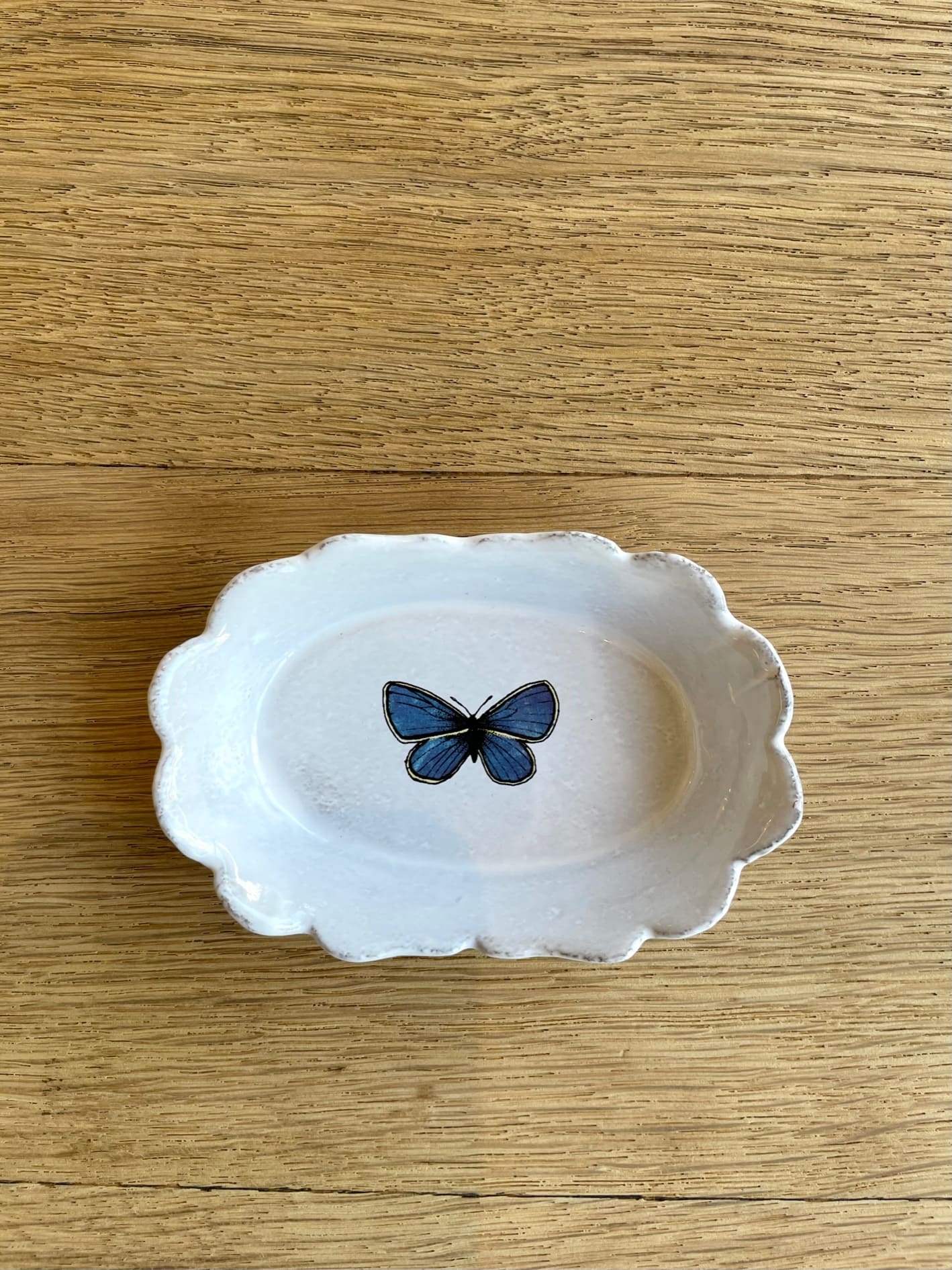 John Derian Dark Blue Butterfly ディッシュ - 陶夢