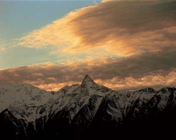 生誕100年記念 | 東京都写真美術館