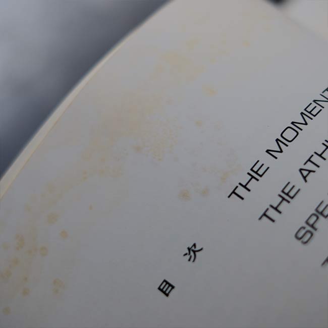 The Best of LIFE – zakka store towi