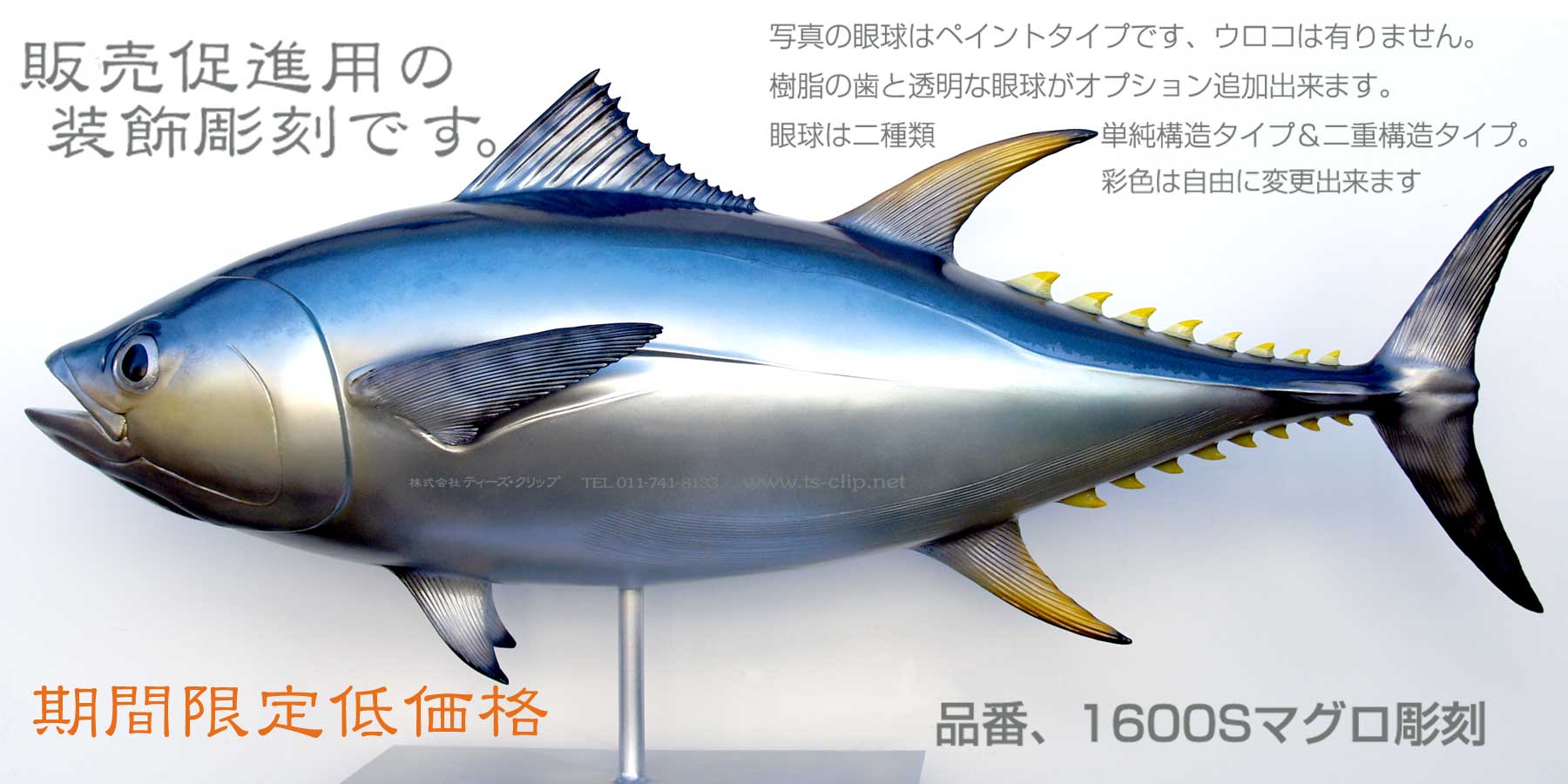 破格値マグロディスプレイ彫刻1m60cm、和食料理店様へ寿司看板のご提案